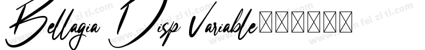 Bellagia Disp Variable字体转换